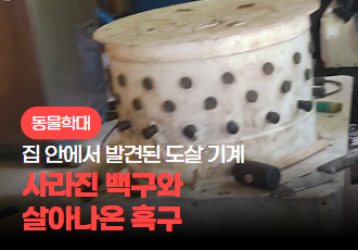 [동물학대] 집 안에서 발견된 도살 기계, 사라진 백구와 살아나온 흑구