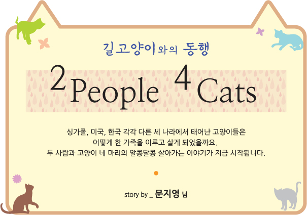 동물자유연대 : [길고양이와의 동행] 고양이 이야기 8편 - 2 People 4 Cats