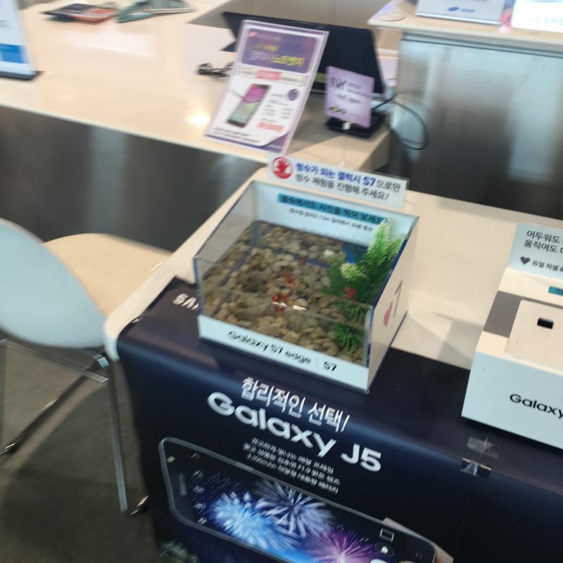 S201663612294122631806.jpeg