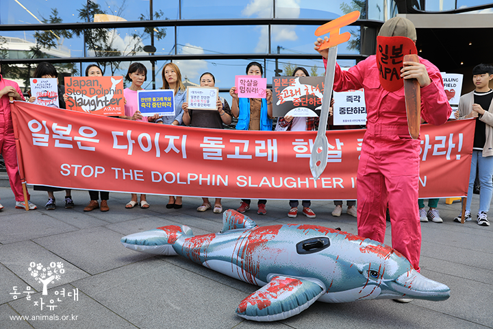 [공동기자회견] 일본은 잔인한 돌고래 학살을 즉각 중단하라