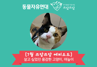 [지원후기] 쓰담쓰담 에피소드 - 살고 싶었던 용감한 고양이 마늘이