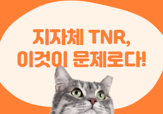 [동네고양이] 지자체 동네고양이 TNR, 이것이 문제로다! 지자체 TNR에 대한 시민들의 의견을 들어봤습니다