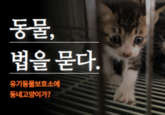 동물자유연대 : [동물 법을 묻다] 유기동물보호소에 동네고양이가?