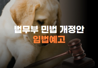[정책입법]﻿ 동물의 비물건화 첫발을 떼다. 법무부 민법 개정안 입법예고!