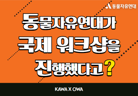 [OWAx동물자유연대] OWA 메타버스 캠페인 국제 워크샵