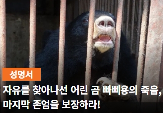  [성명서]자유를 찾아나선 어린 곰 빠삐용의 죽음, 마지막 존엄을 보장하라!