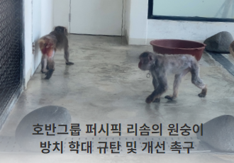 [기자회견문] 호반그룹 퍼시픽 리솜의 원숭이 방치 학대 규탄 및 개선 촉구