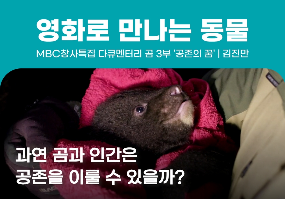 🎬영화로 만나는 동물 <MBC 창사특집 다큐멘터리 곰 3부 공존의 꿈>