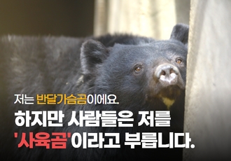 [펀딩]사육곰 해방을 위한 다큐멘터리 제작을 응원해주세요!