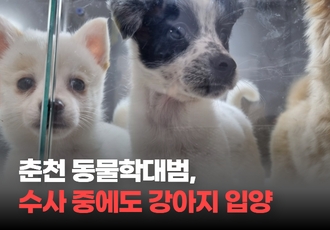 [탄원요청] 춘천 동물학대범, 고발 후 수사 진행 중에도 개 2마리 입양