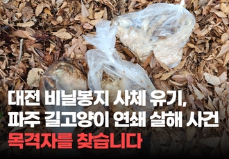 [목격자를 찾습니다] 대전 비닐봉지 사체 유기 사건, 파주 길고양이 연쇄 살해 사건 발생