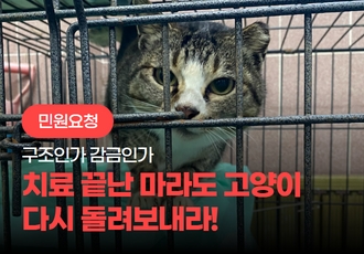 [민원 요청] ‘구조’를 핑계로 한 고양이 ‘감금’. 치료 끝난 고양이를 마라도로 돌려보내라!