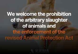 We welcome the prohibition of the arbitrary slaughter of animals