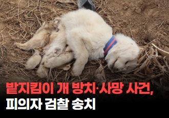 [동물학대] 어린 개 ‘자유’를 죽게한 김제 밭지킴이 개 방치 사건 검찰 송치