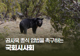 [국회 시사회 후기]곰 사육 종식을 위한 입법을 촉구합니다!