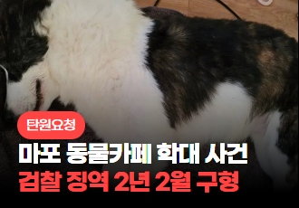 [탄원요청] 마포 동물카페 학대 사건, 검찰 징역 2년 2월 구형