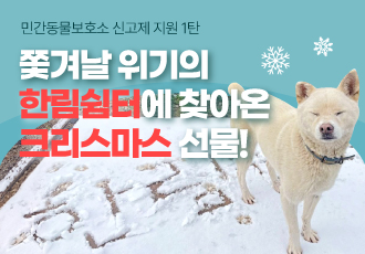 <민간동물보호소 신고제 지원 1탄> 쫓겨날 위기의 한림쉼터에 찾아온 크리스마스 선물!🎄🎁