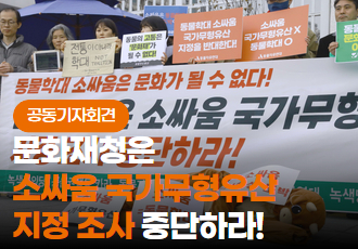 [공동기자회견] 문화재청은 소싸움 국가무형유산 지정가치 조사 중단하라!
