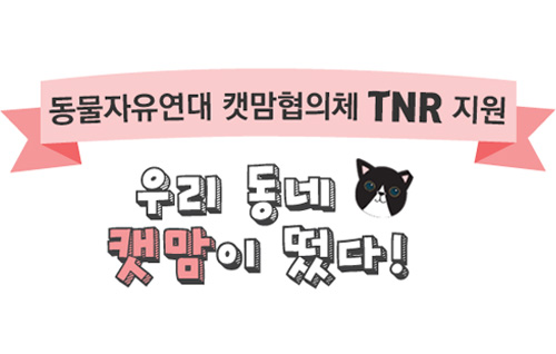 2016 지역캣맘협의체 TNR 지원 4탄! 서초캣맘모임 
