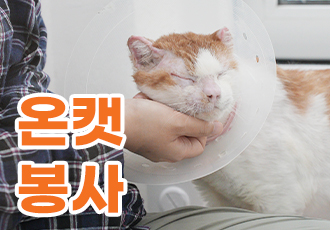 [봉사] 온캣에서 함께해요! 7월 정기봉사 모집🧡