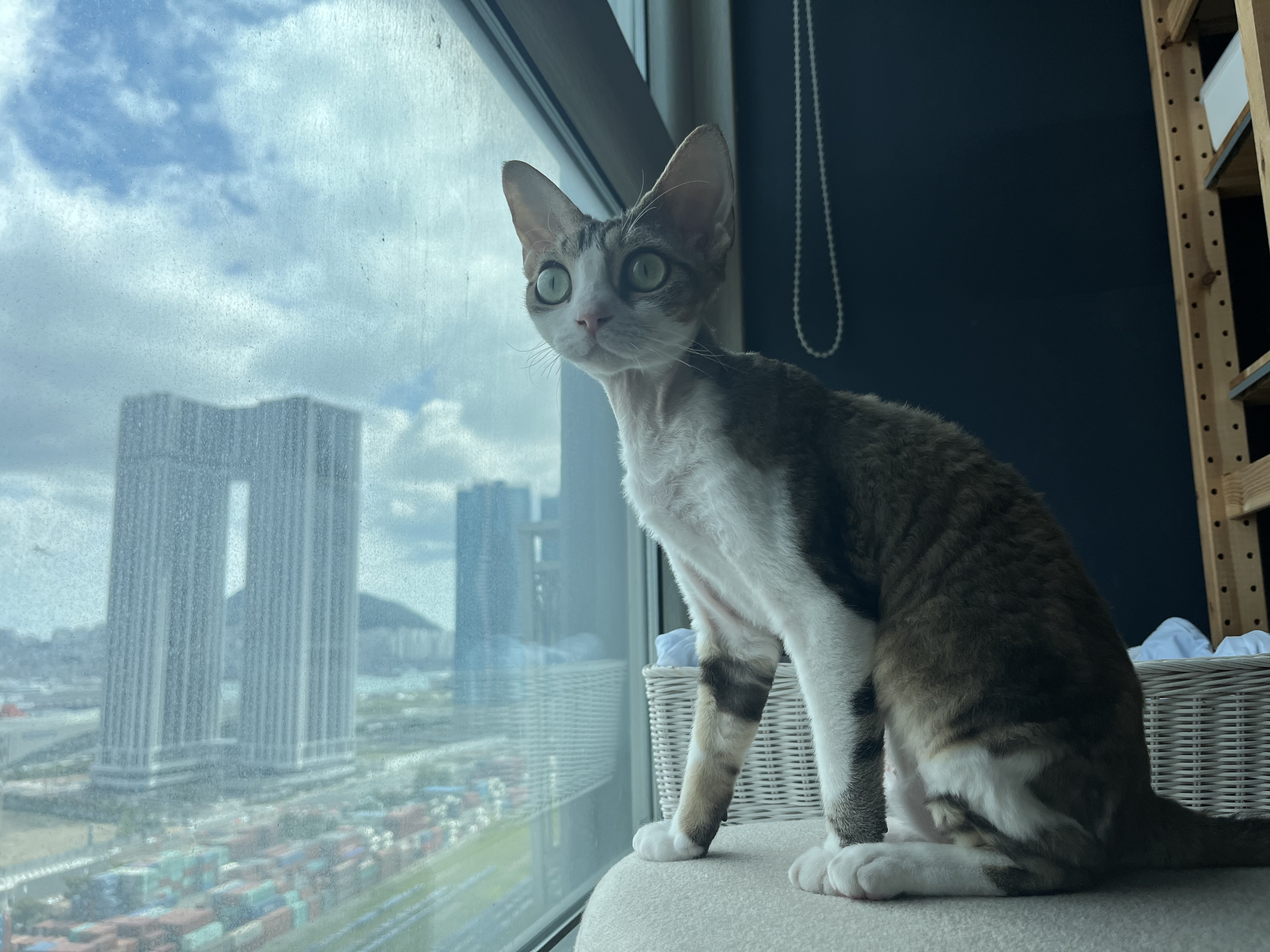 머루가 된 까까의 한달입니다