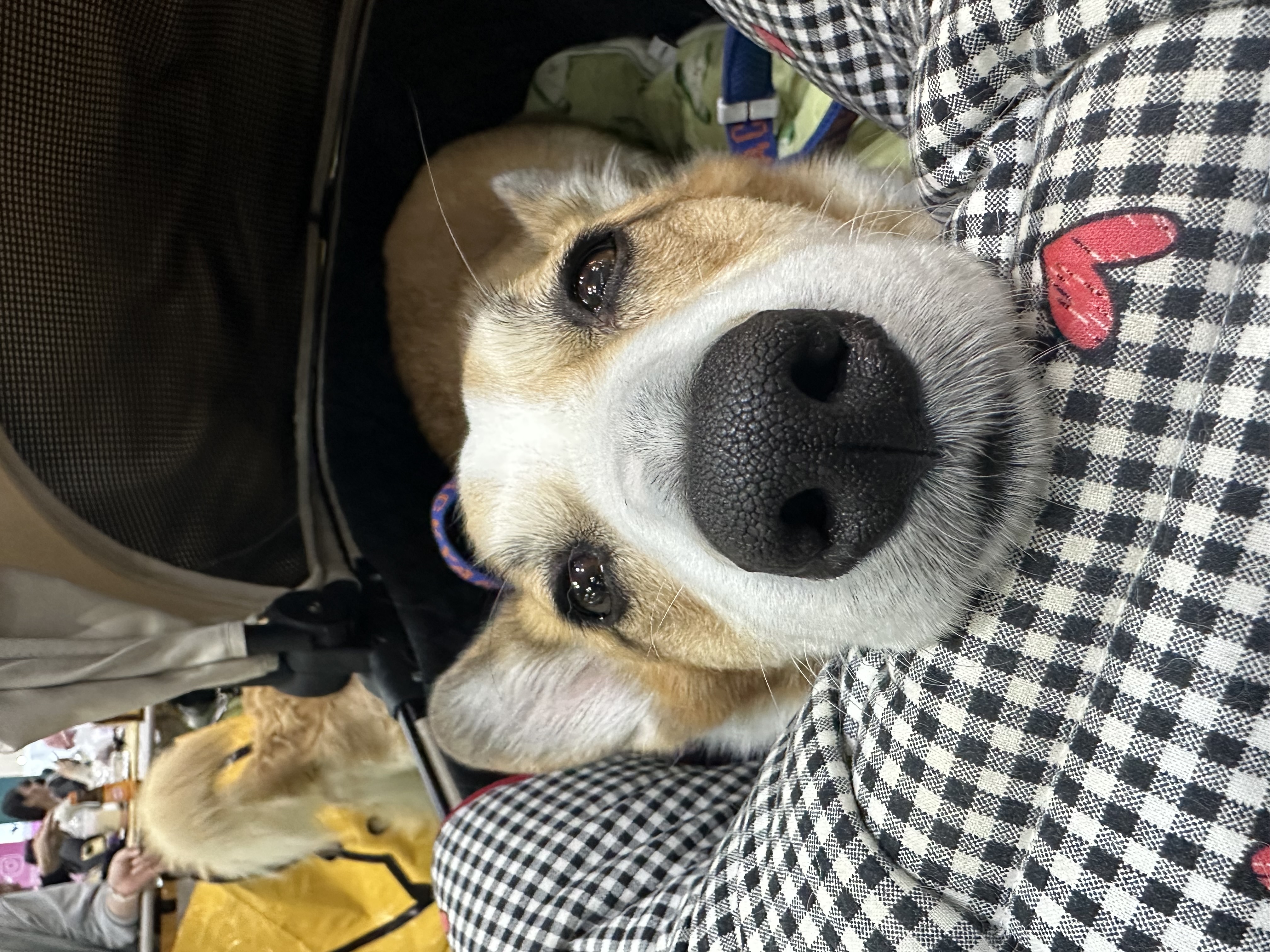 무티(구.수코) 2년차 근황