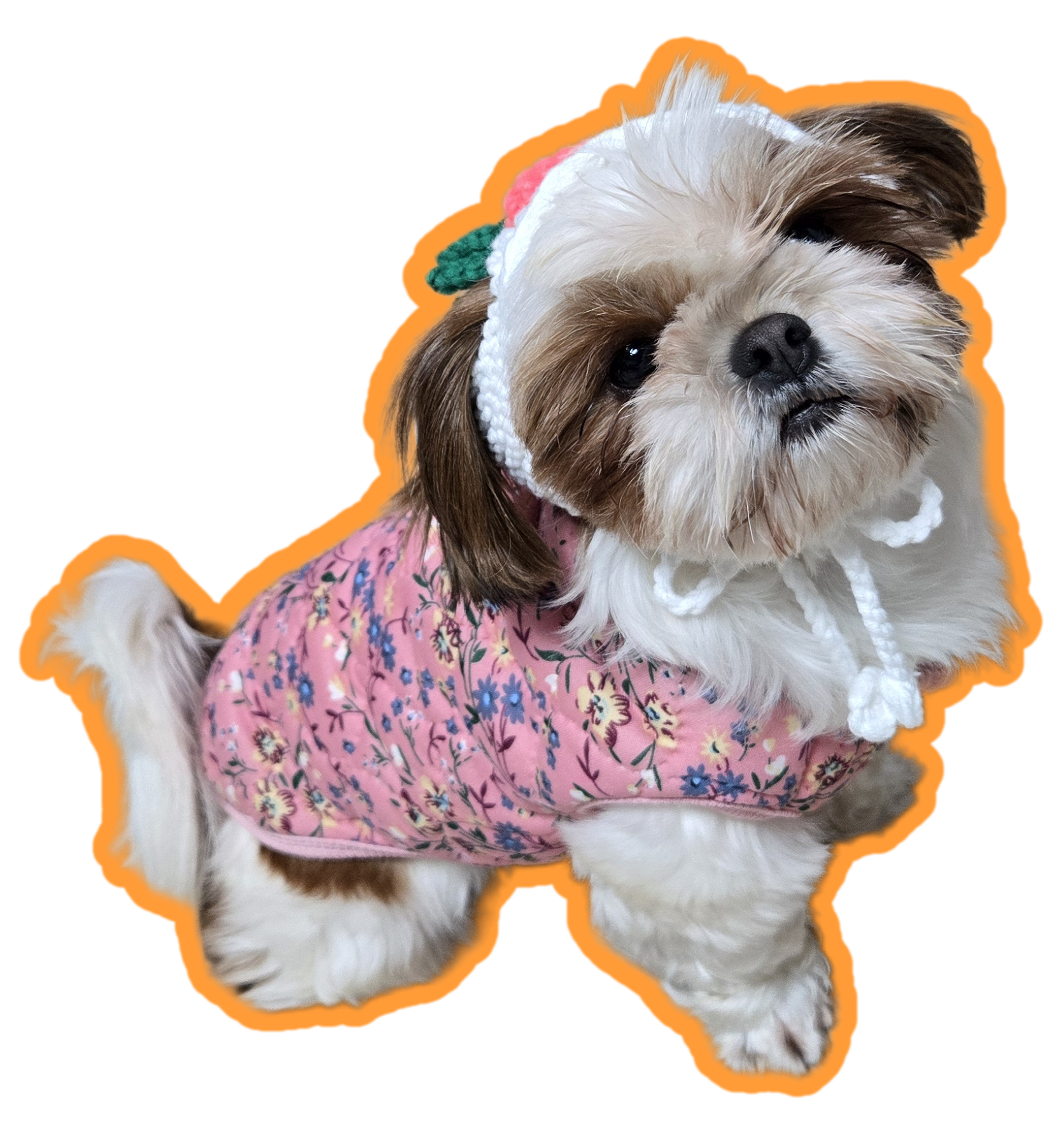 토리와 함께한 한달후기