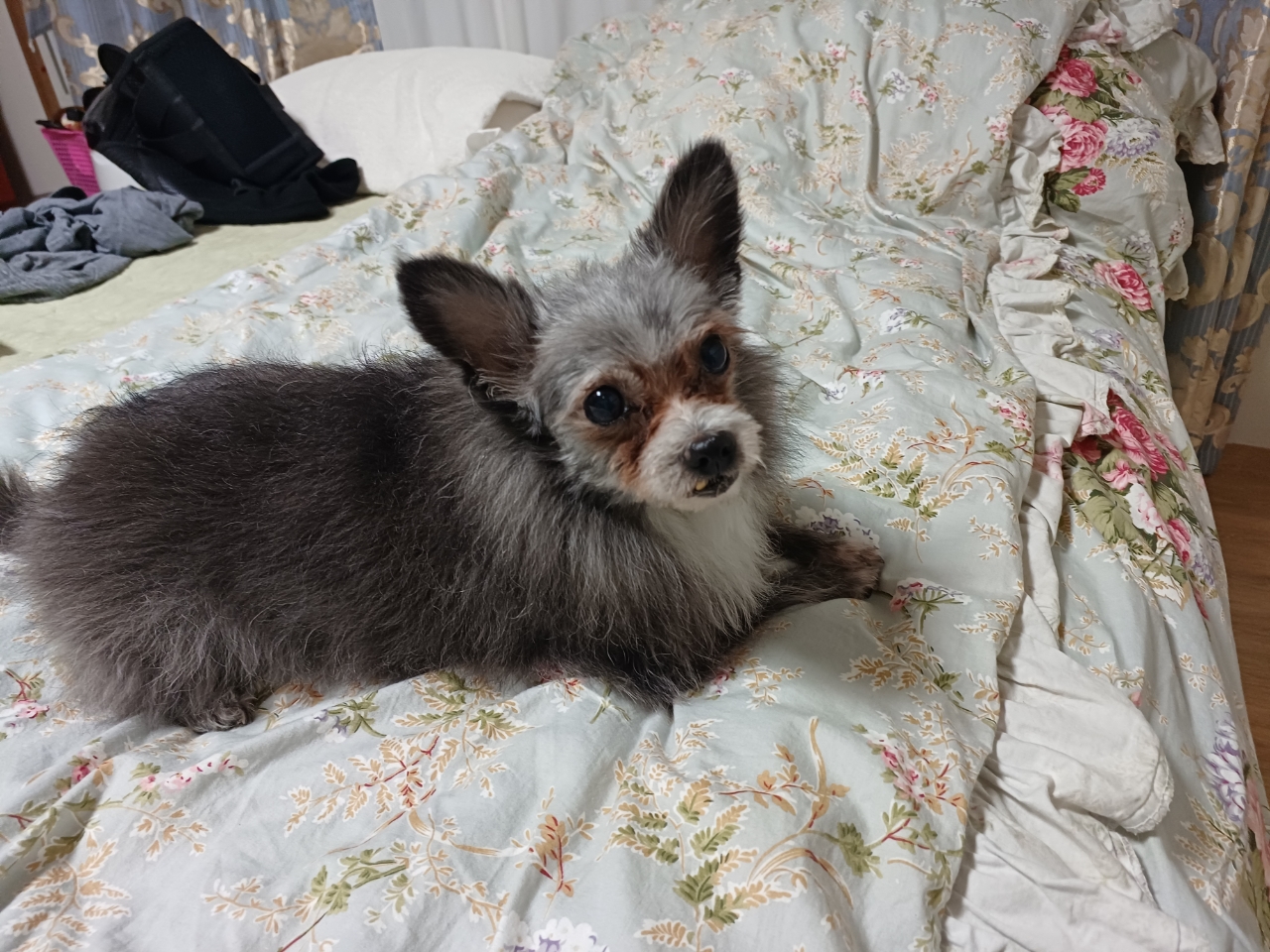 소피 잘지내고 있어요~