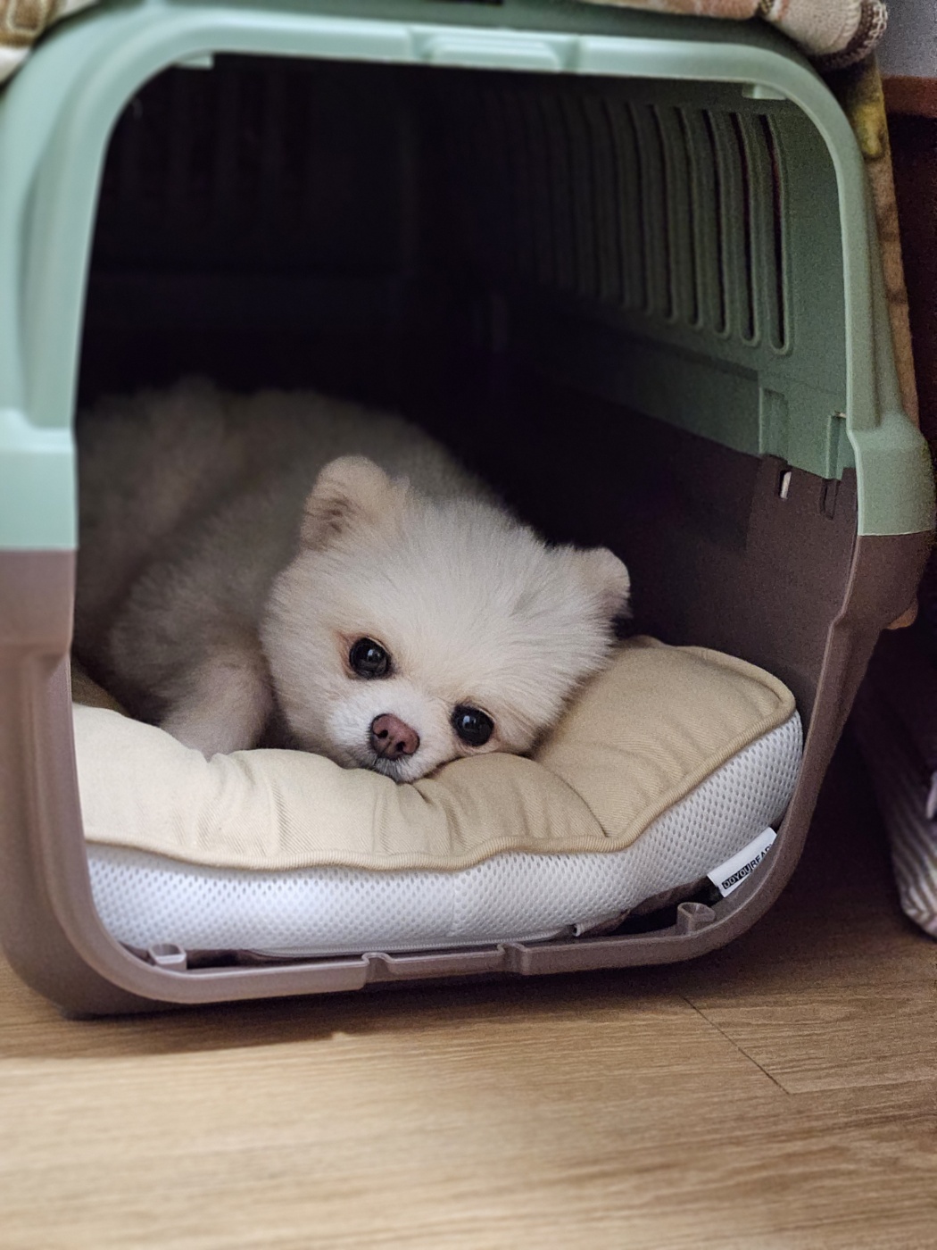 나루(구 빙봉) 한달차 후기