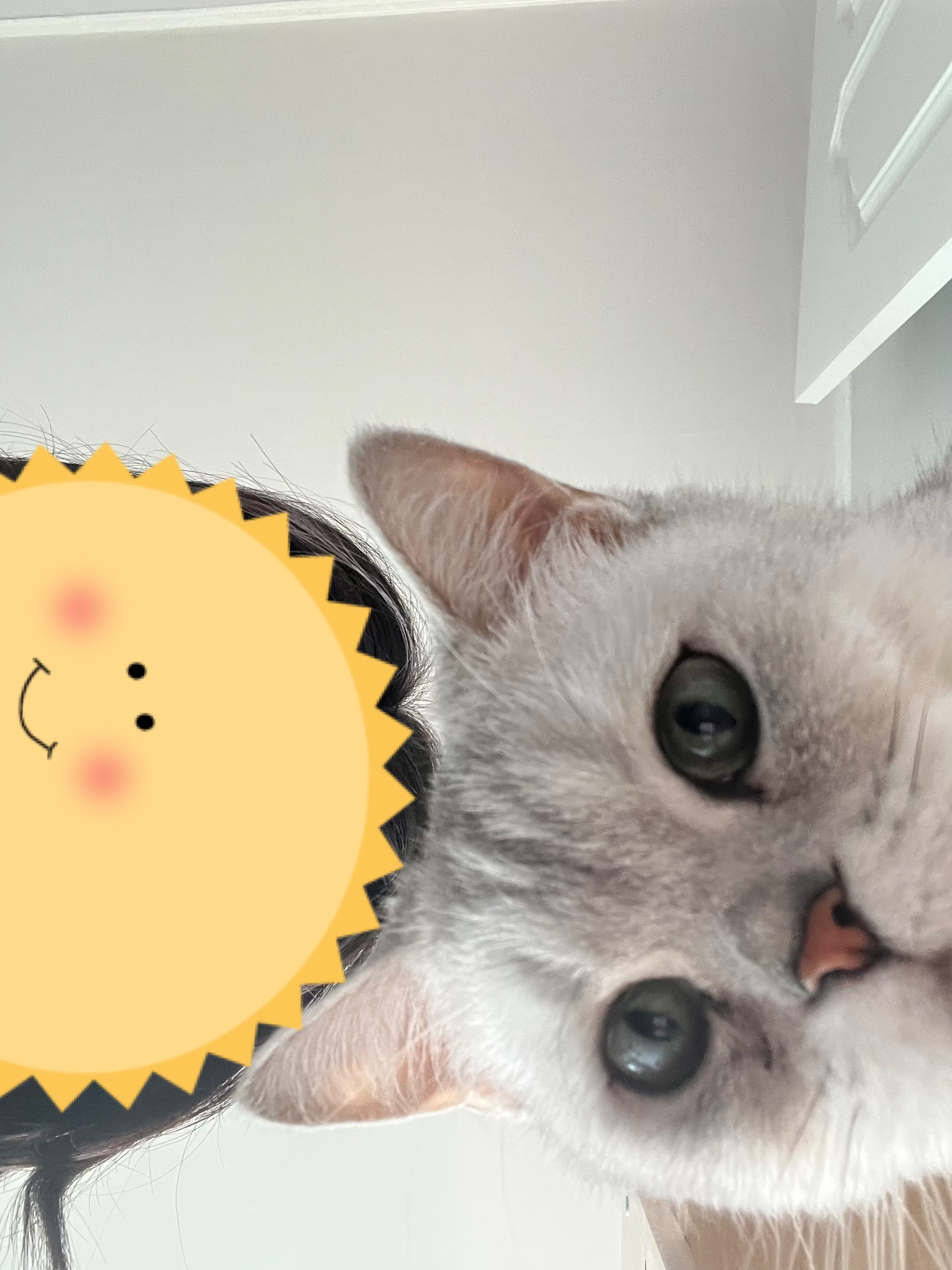 망고(달희)와 함께 벌써 3개월