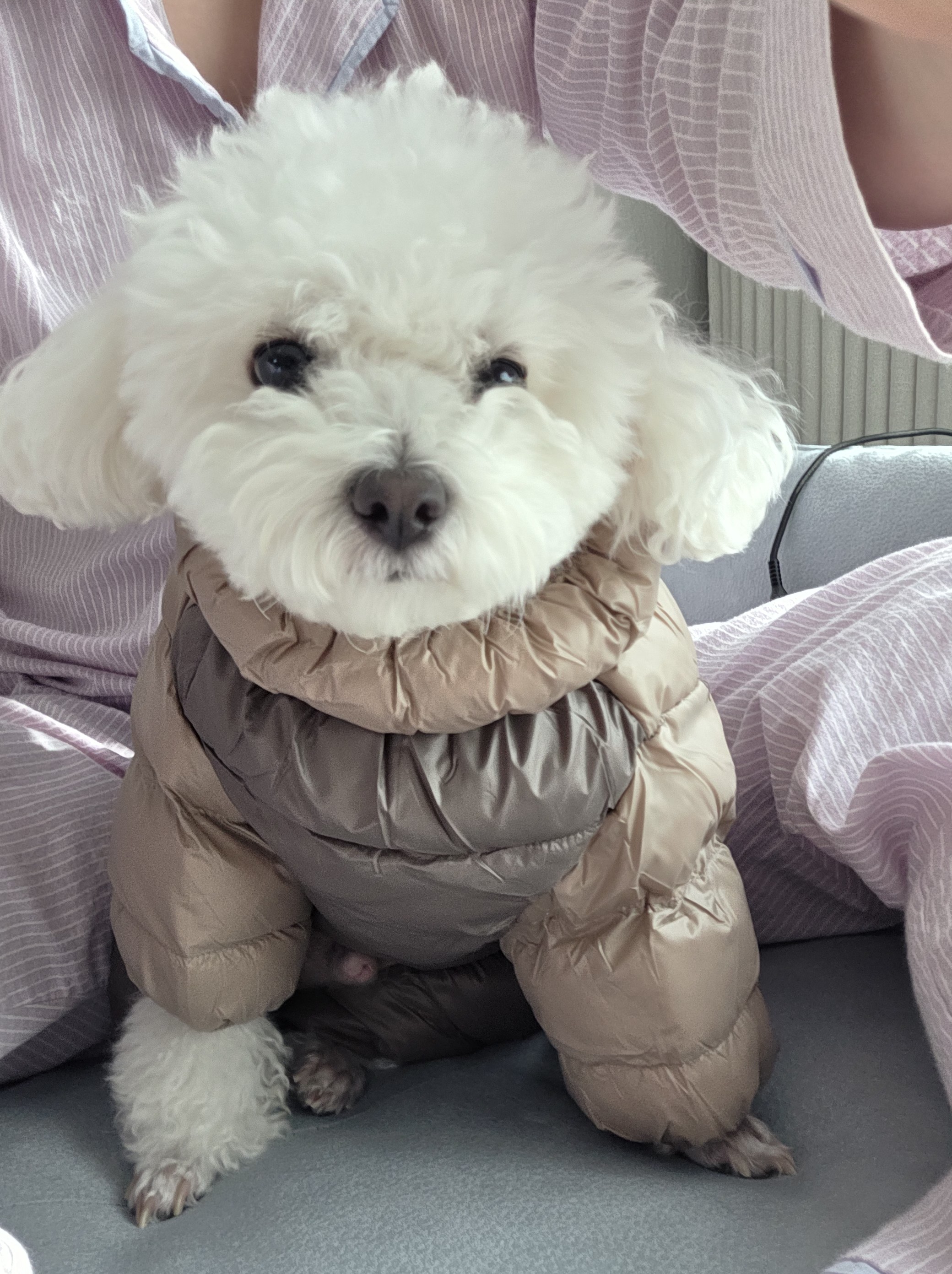 열무(구 아솜이)의 2년 3개월차 이야기