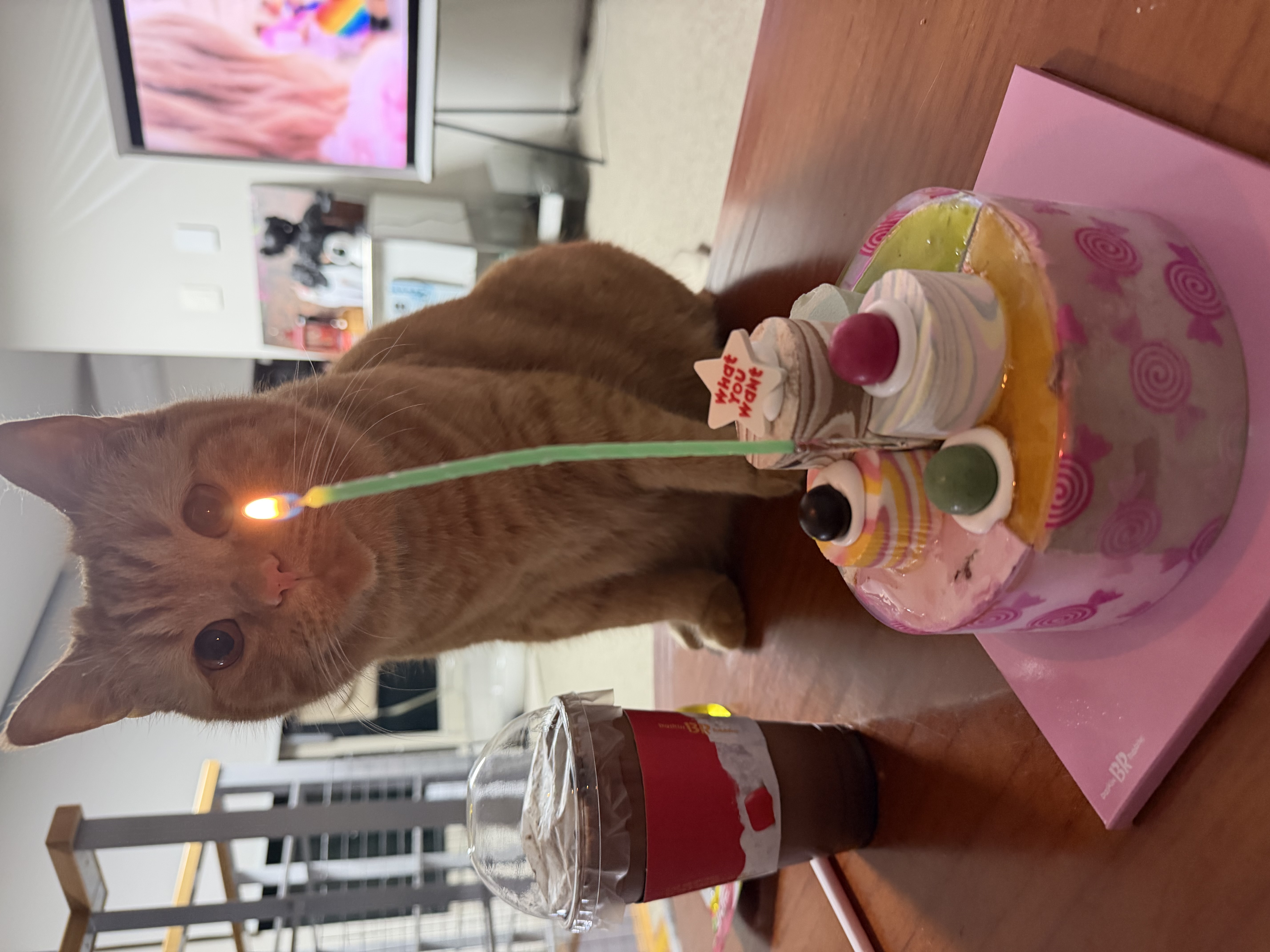 아련눈빛 에몽이 잊지 않으셨죠..?