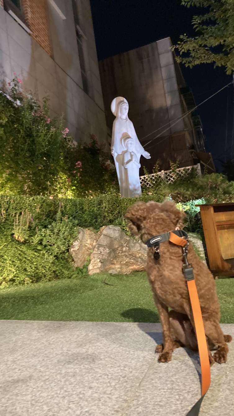 안녕하세요 보사가 왔어요 ~