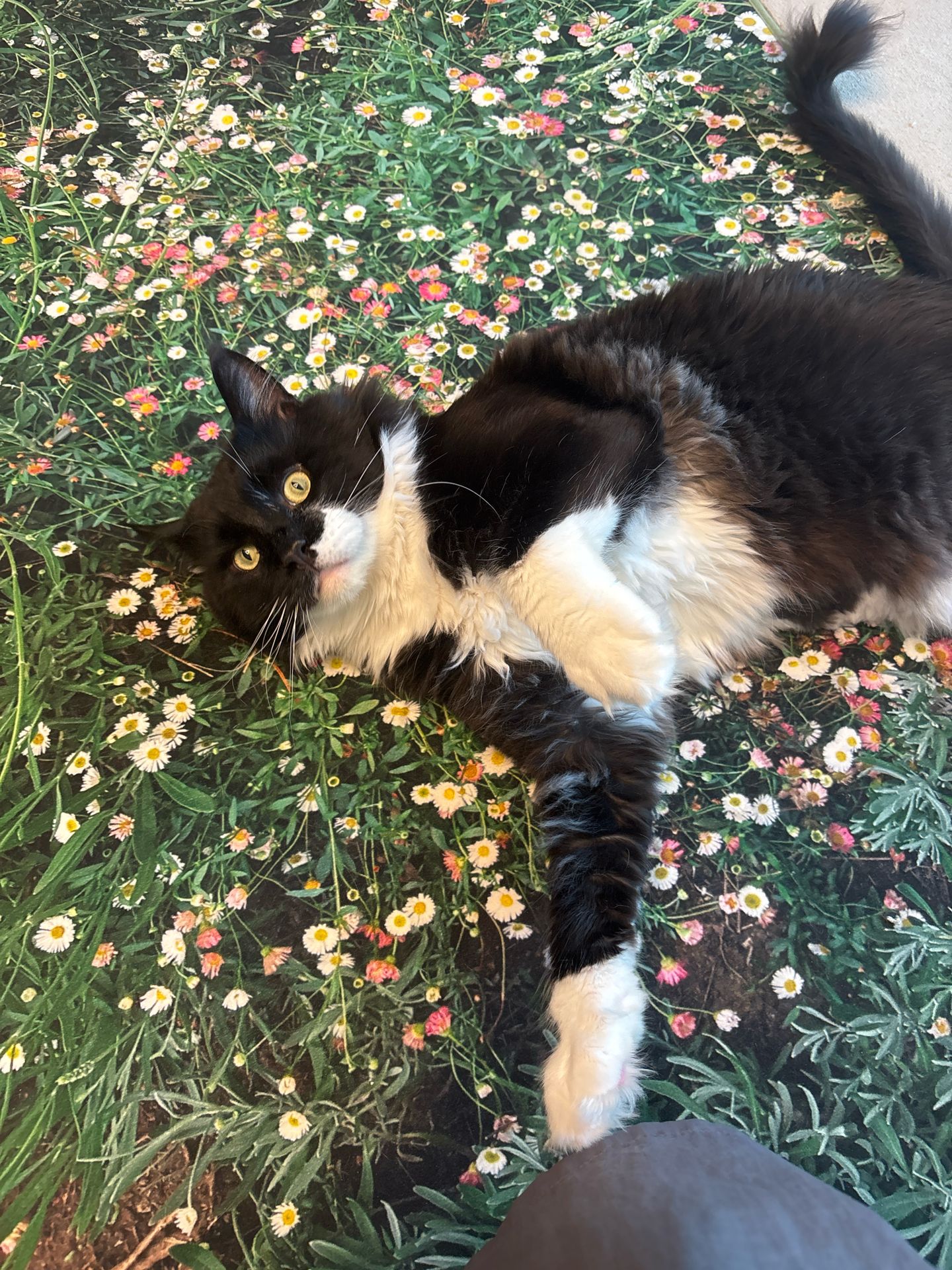 산이(인쿤이)와의 1년