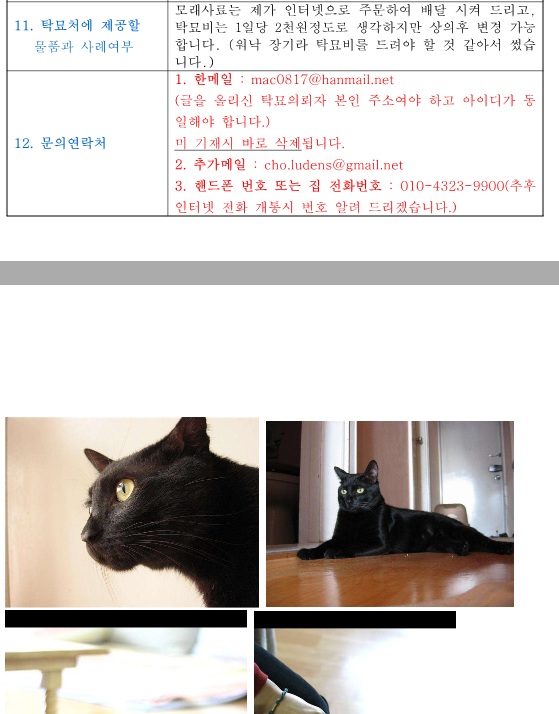 고양이 1년간 맡길데를 찾아요