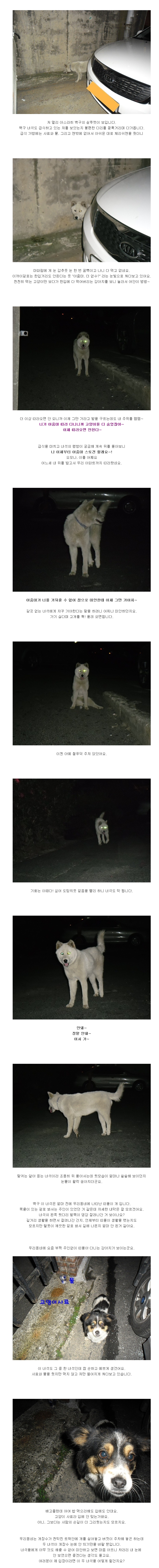 아고라에 실린글입니다