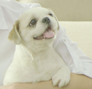 <font color=red>이제 정회원방에서도 닉네임으로 글을 작성하실 수 있습니다!</font>