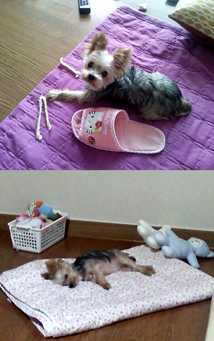 제발 사랑으로 도와주세요,,간절합니다