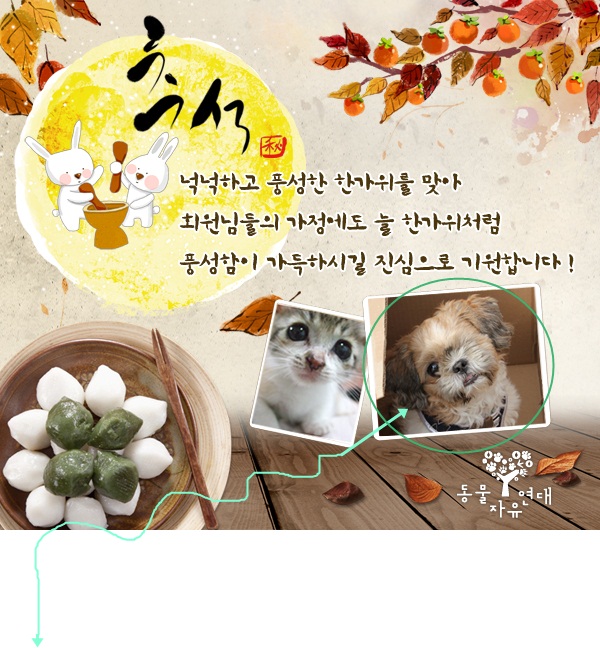 누구? 모델 엄마 맞추기