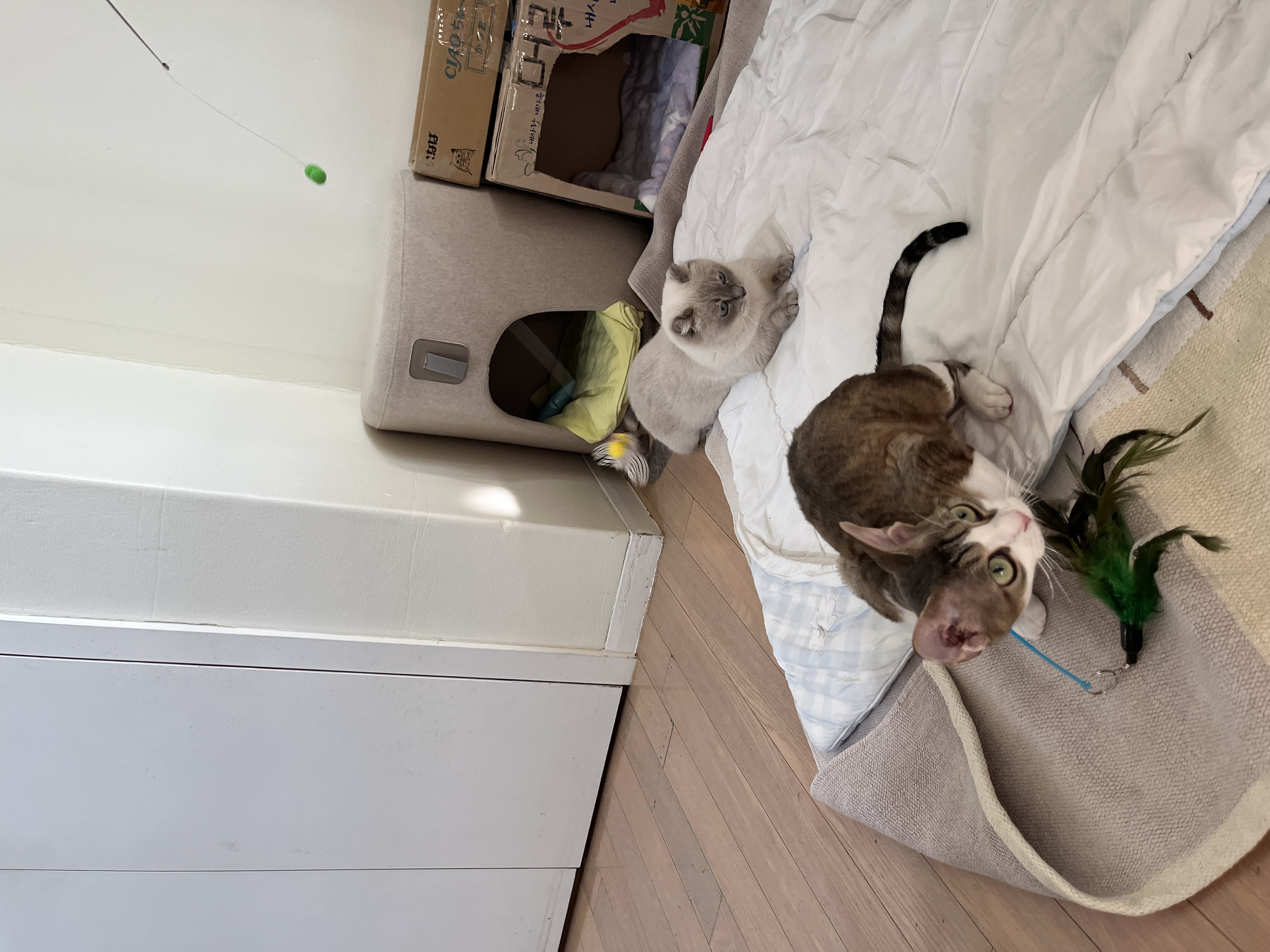 머루(까까)와 함께한 세달