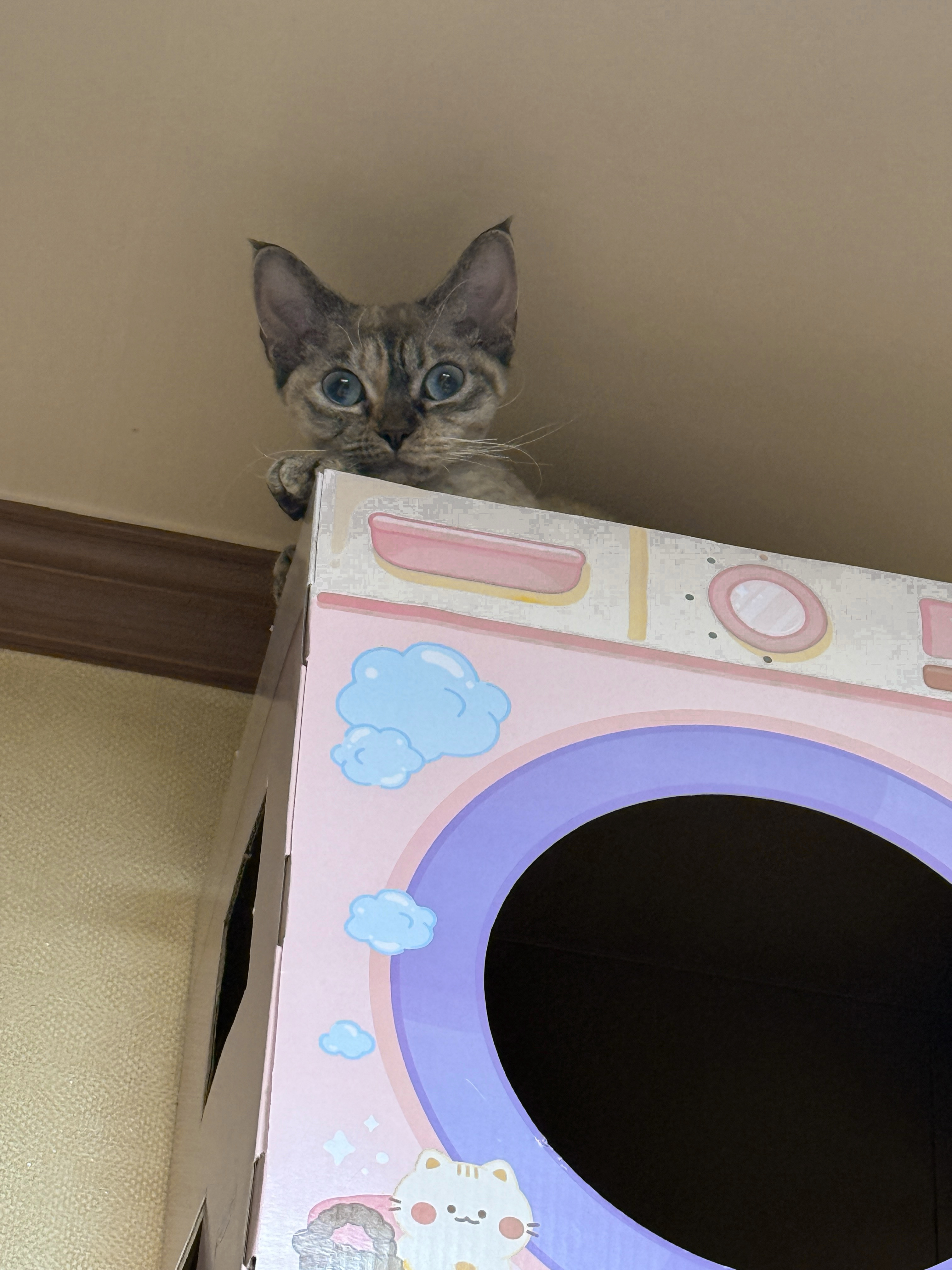 새로의 3개월차♡ 