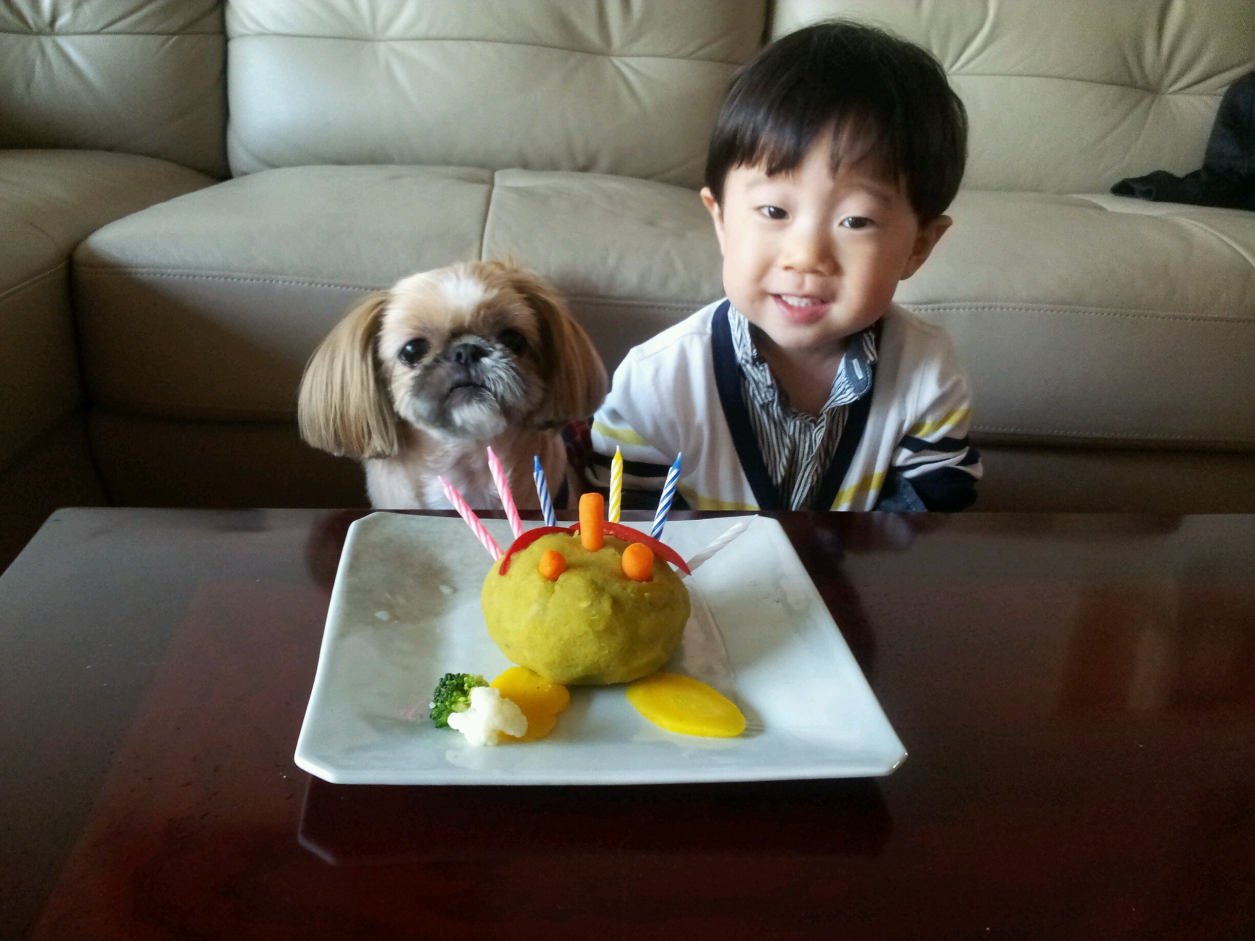 호동이의 6번째 생일을 축하해 주세요. 후원금 입금 확인 부탁드립니다.