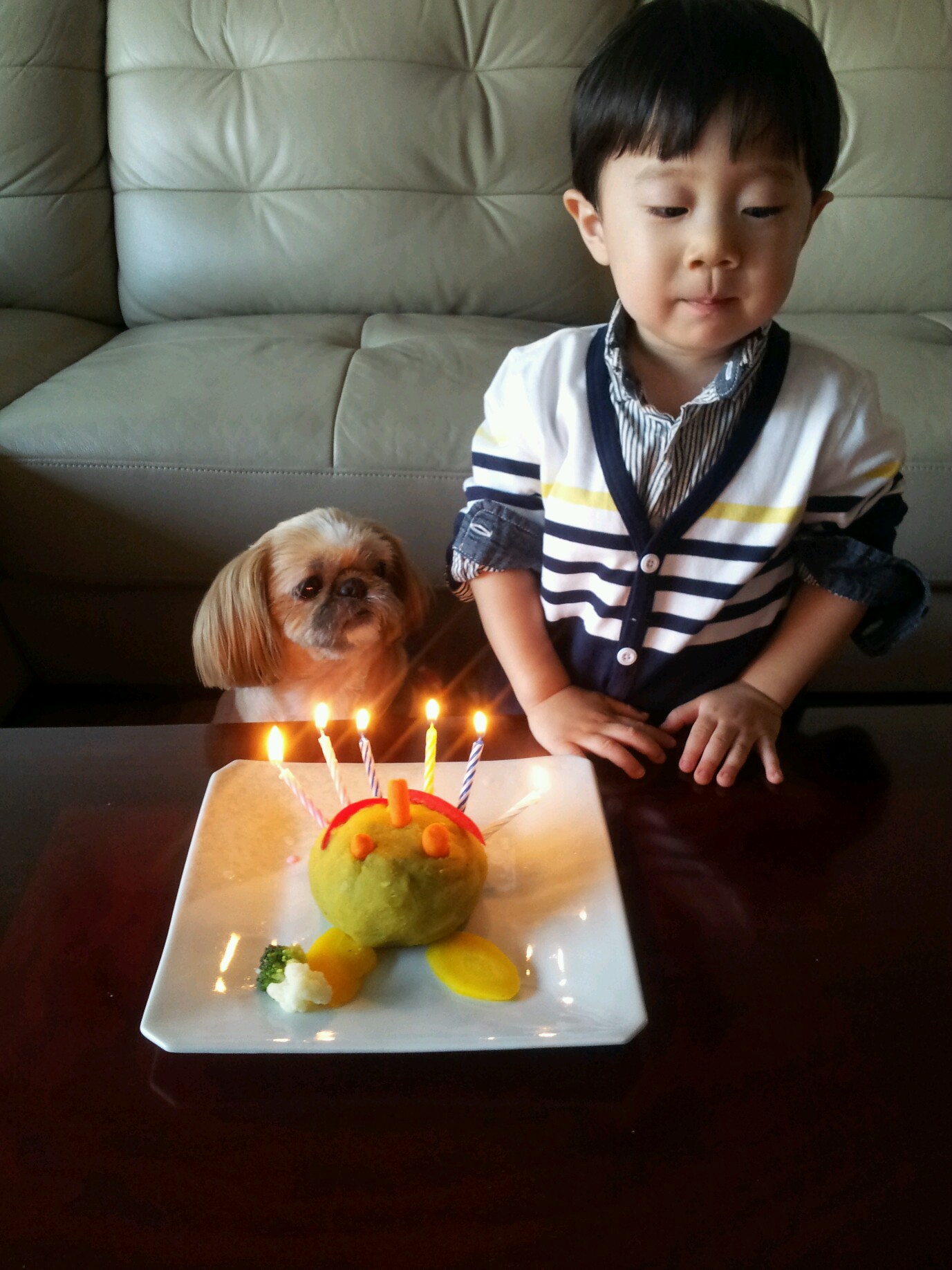호동이의 6번째 생일을 축하해 주세요. 후원금 입금 확인 부탁드립니다.