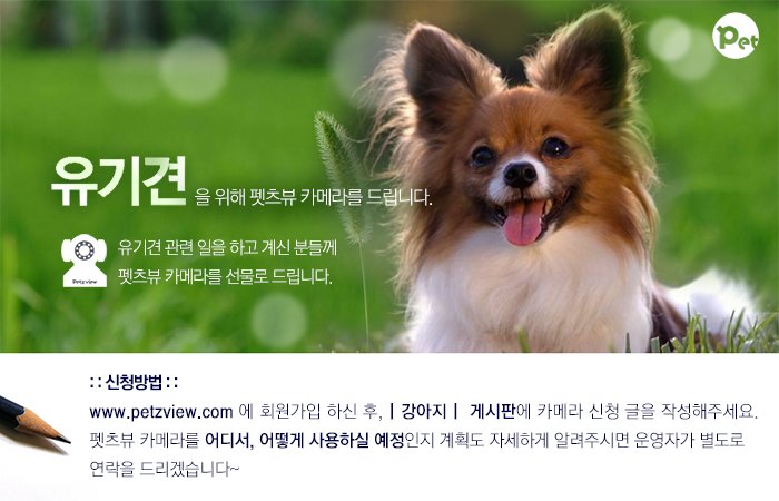펫츠뷰라는 곳에서 이벤트 있어 올려용~~