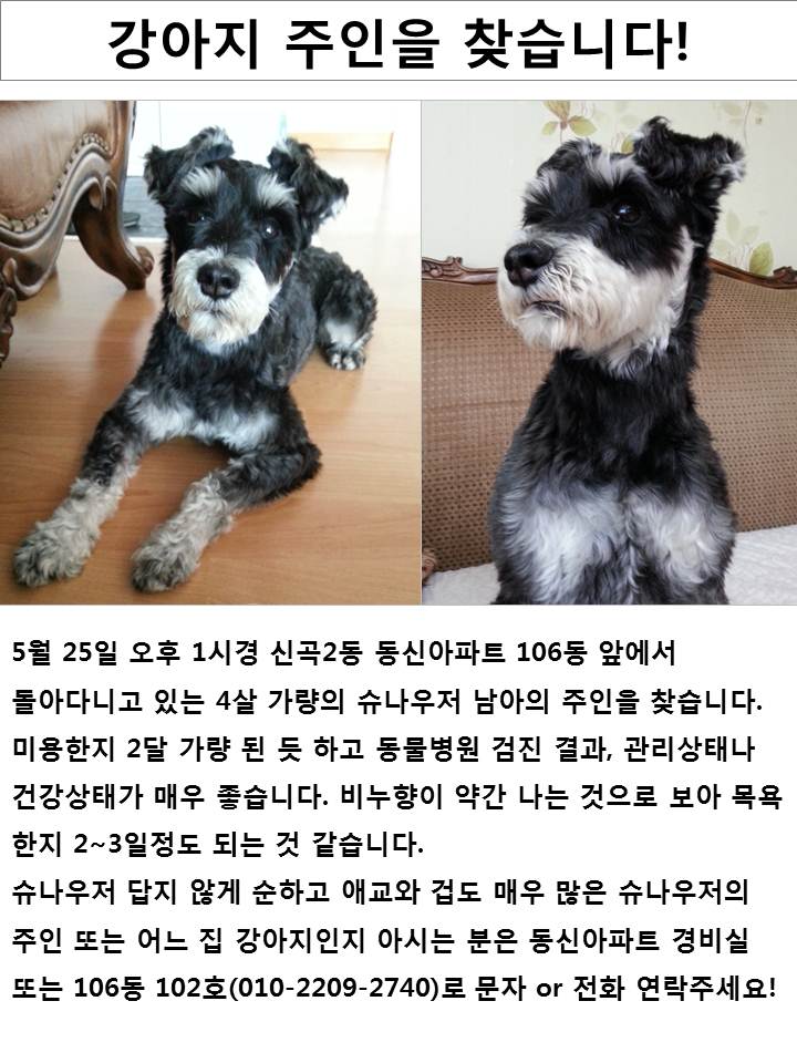 집나온 아가를 보호하고 있습니다.