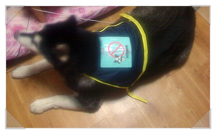 복날 캠페인 홍보~