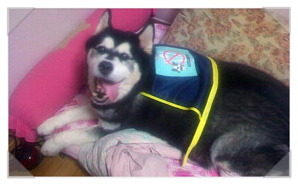 복날 캠페인 홍보~