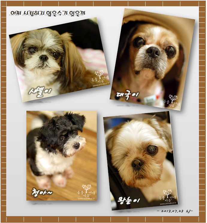아래, 강병주 회원님이 주신 선물입니다.