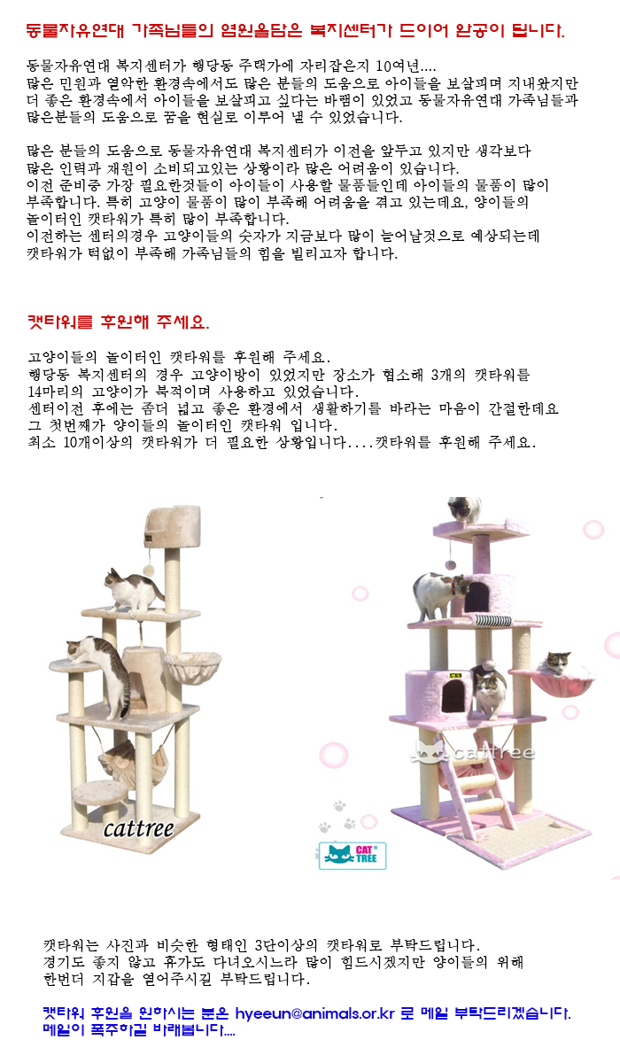 캣타워를 후원해주실 10분을 모십니다.