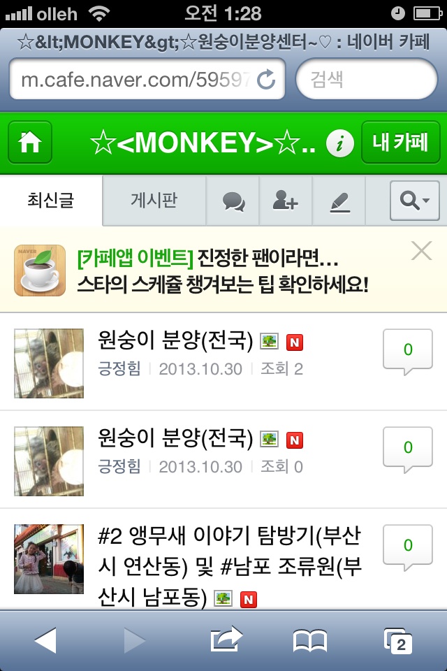 원숭이 불법 분양거래 사이트 어쩌죠